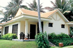 The Beach Resort